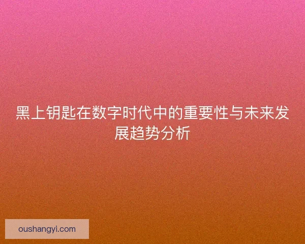 黑上钥匙在数字时代中的重要性与未来发展趋势分析