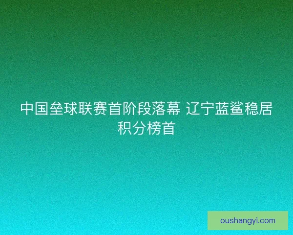 中国垒球联赛首阶段落幕 辽宁蓝鲨稳居积分榜首 中国垒球联赛首阶段落幕 辽宁蓝鲨稳居积分榜首