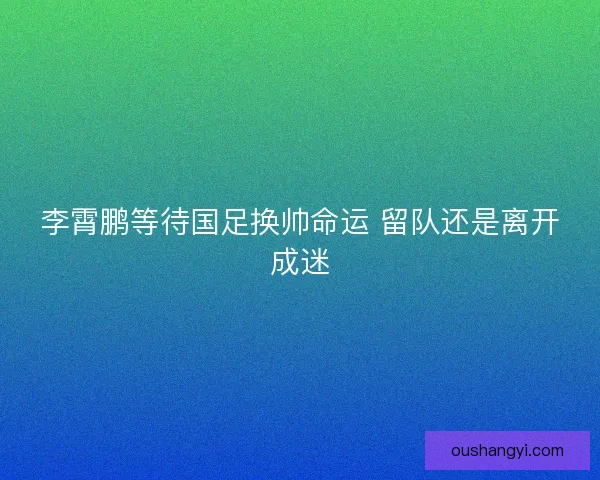 李霄鹏等待国足换帅命运 留队还是离开成迷