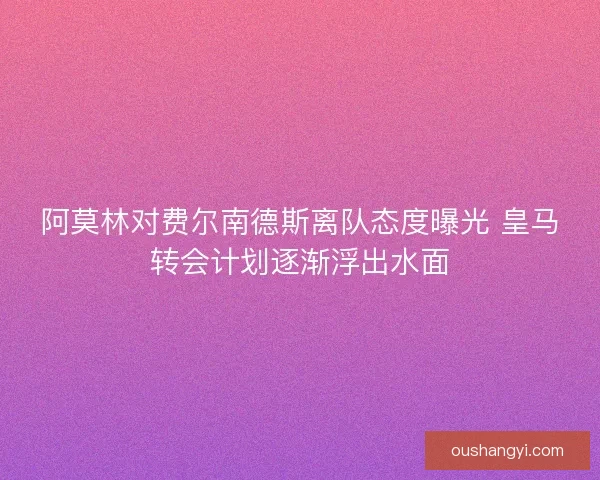 阿莫林对费尔南德斯离队态度曝光 皇马转会计划逐渐浮出水面