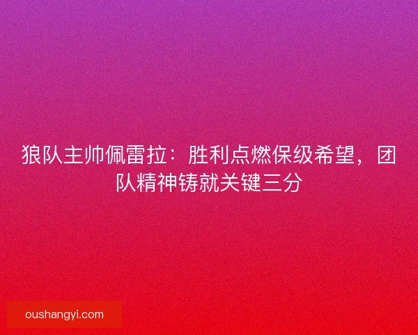 狼队主帅佩雷拉：胜利点燃保级希望，团队精神铸就关键三分